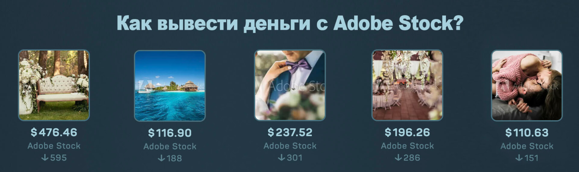 как вывести деньги с Adobe Stock. Инструкция